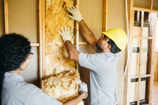 Best Radiant Barrier Insulation  in East Cleveland, TN